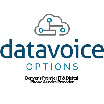 Data Voice Options